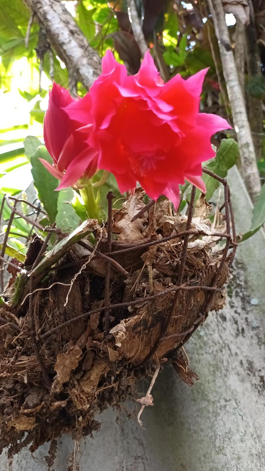 Lugar De Bendicion Donde El Costeno 亚美尼亚 外观 照片